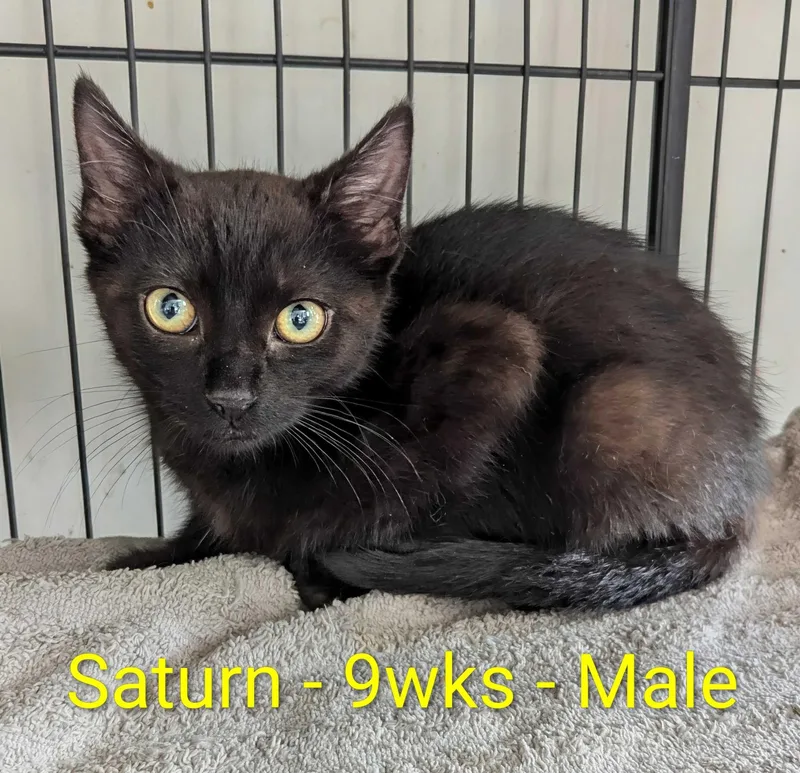 Saturn
