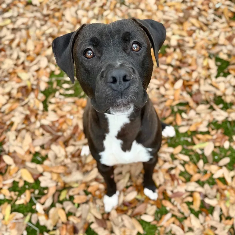 Lunchbox thumbnail 2