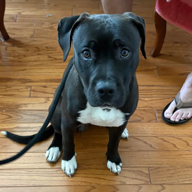 Lunchbox thumbnail 3