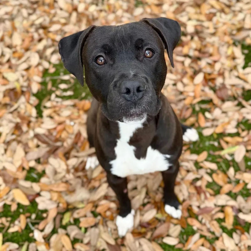 Lunchbox thumbnail 4