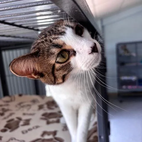 Sebastian