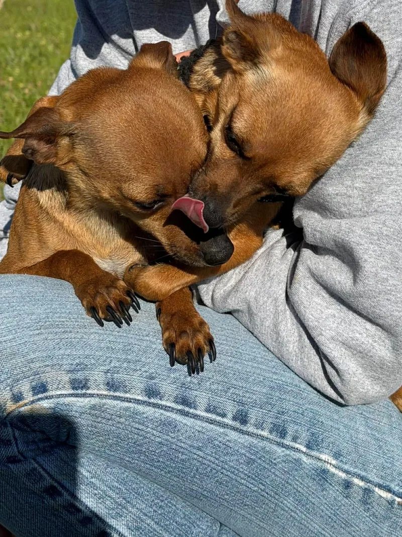 Crash & Eddie thumbnail 4