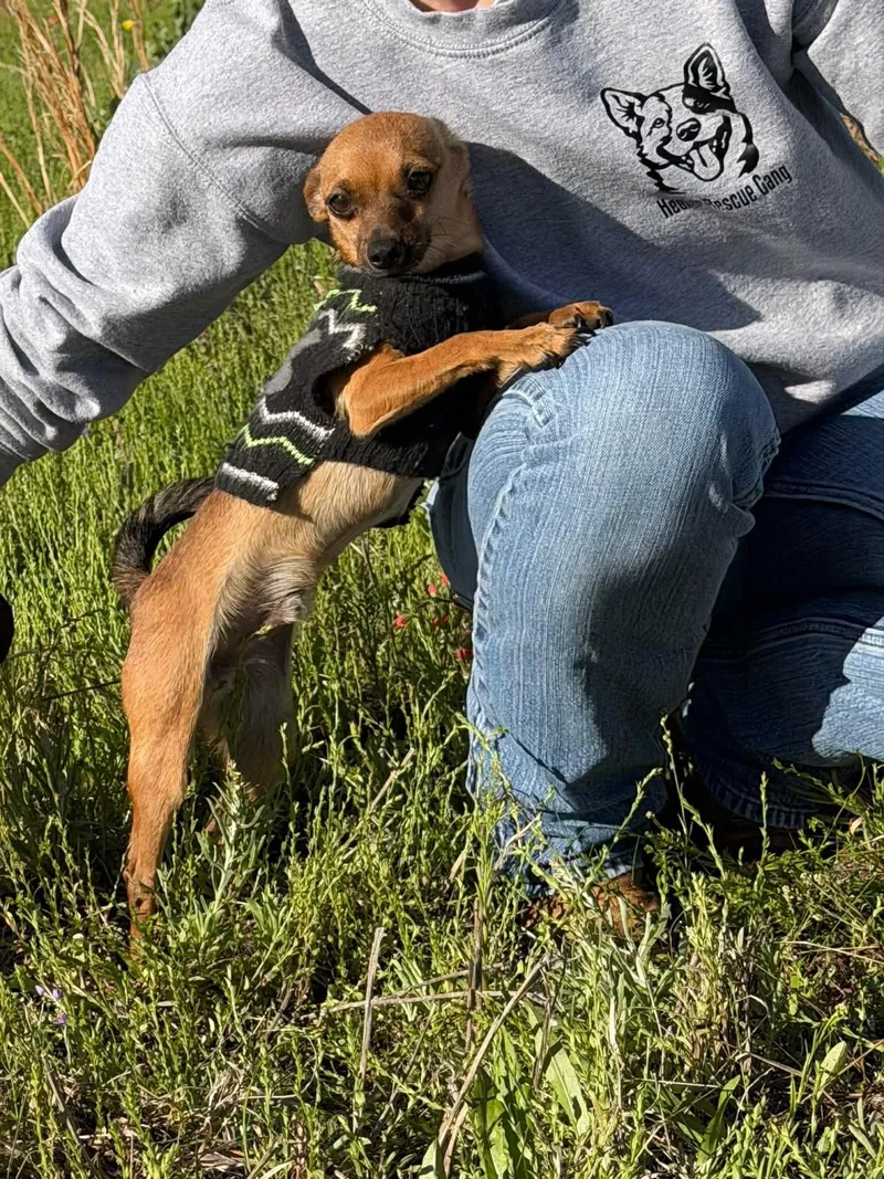 Crash & Eddie thumbnail 5