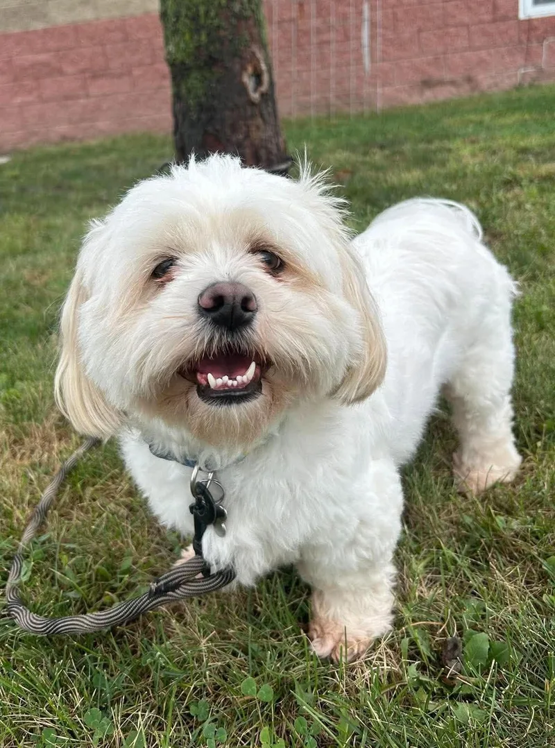 Wally