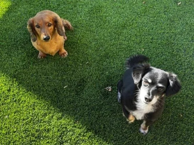 George    thumbnail 3