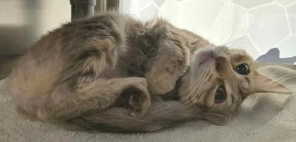 Martha thumbnail 3