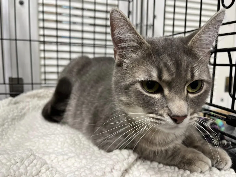 Mama Isabella thumbnail 2