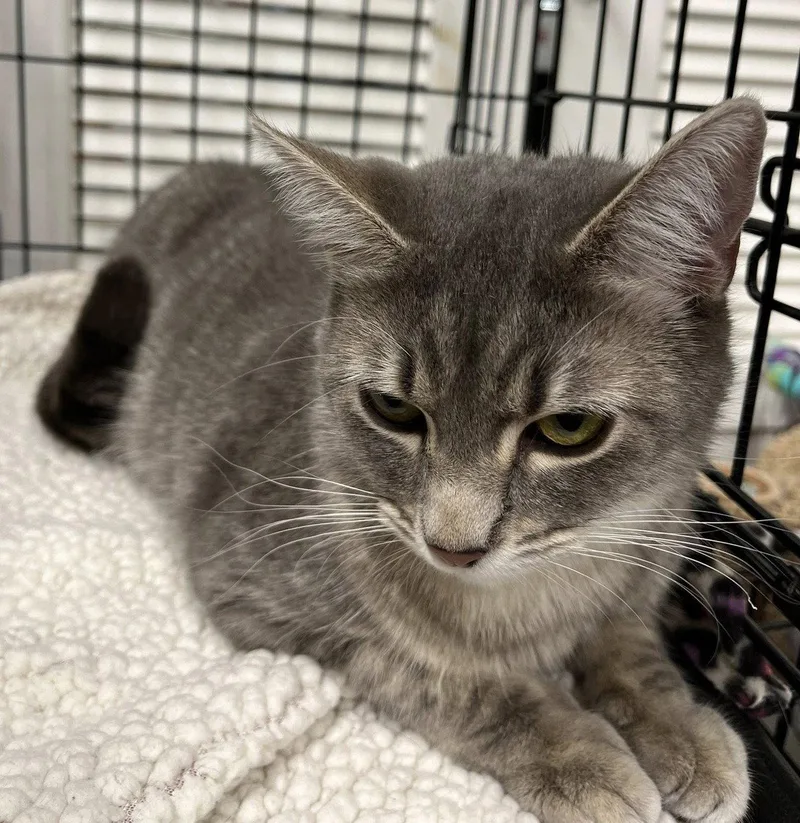 Mama Isabella thumbnail 3