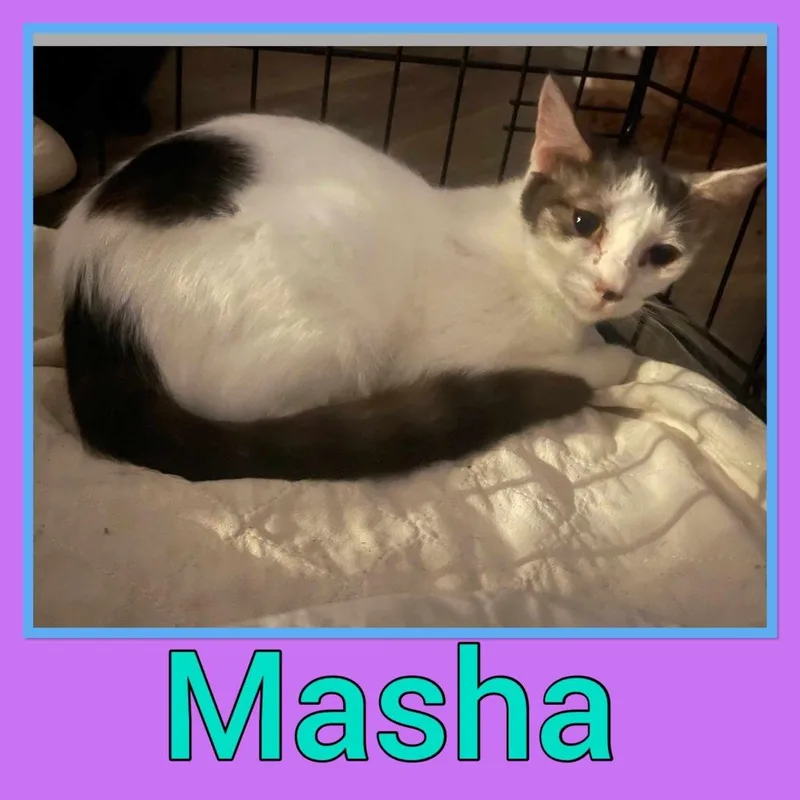 Masha thumbnail 2