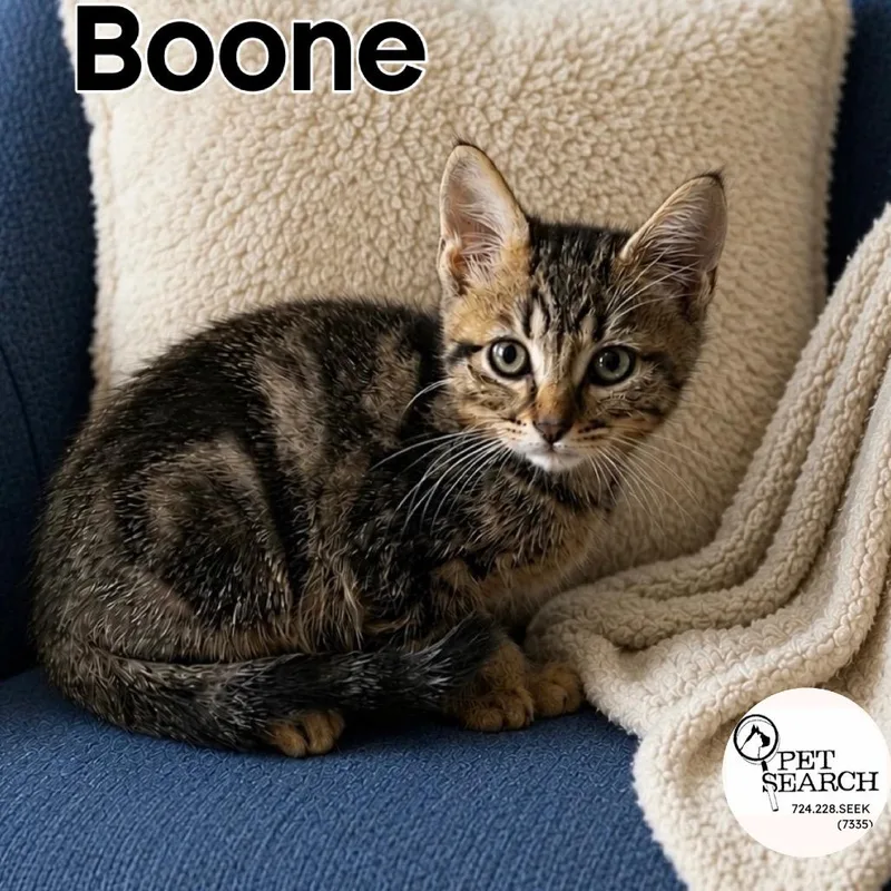 Boone