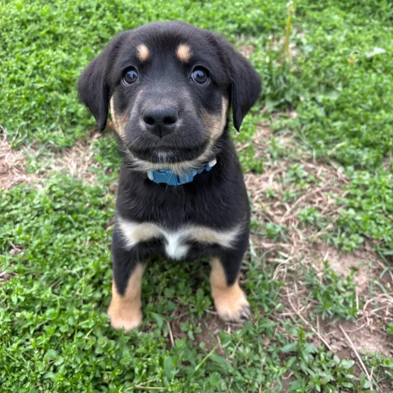 Power And Light thumbnail 2