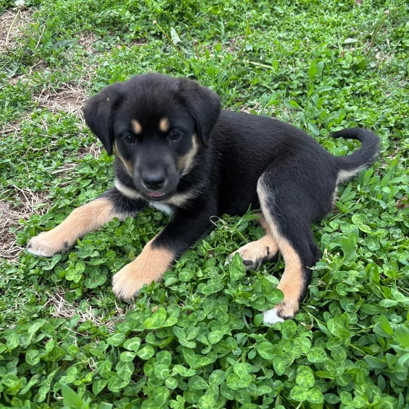 Power And Light thumbnail 3