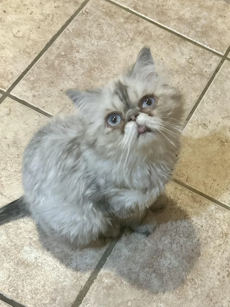 Little One