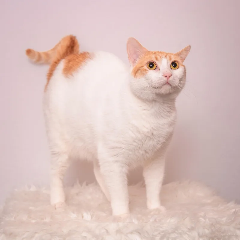 Aurora The Most Chill thumbnail 6