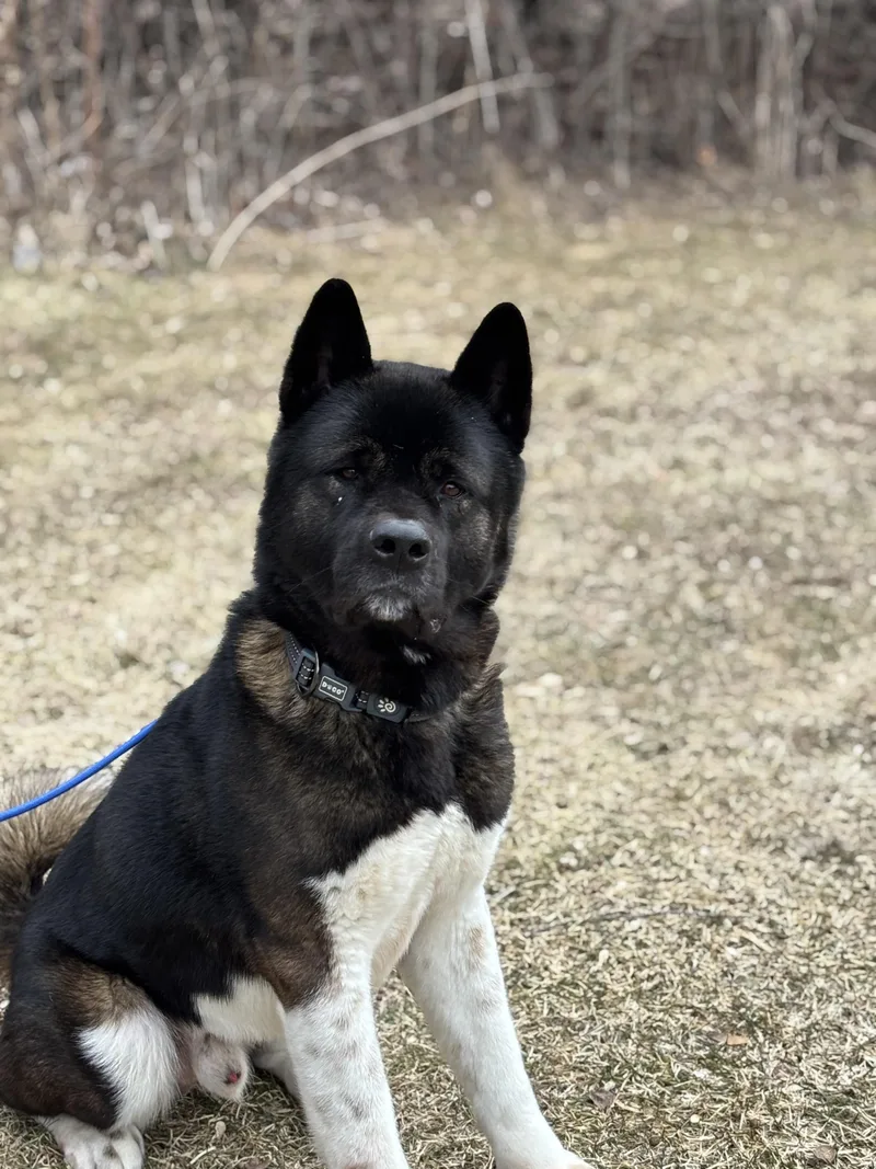 Edgar