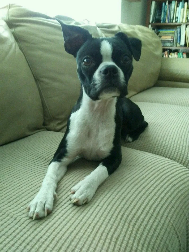 Lily