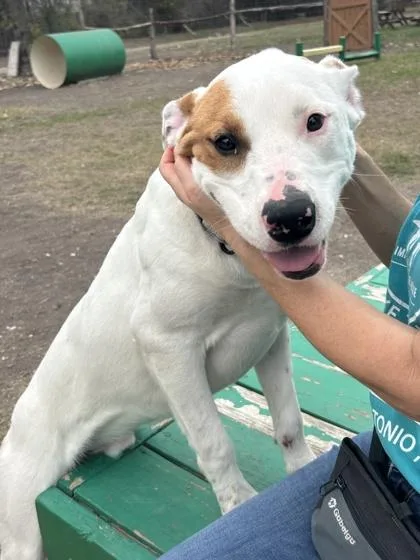 Jeff Hardy thumbnail 3