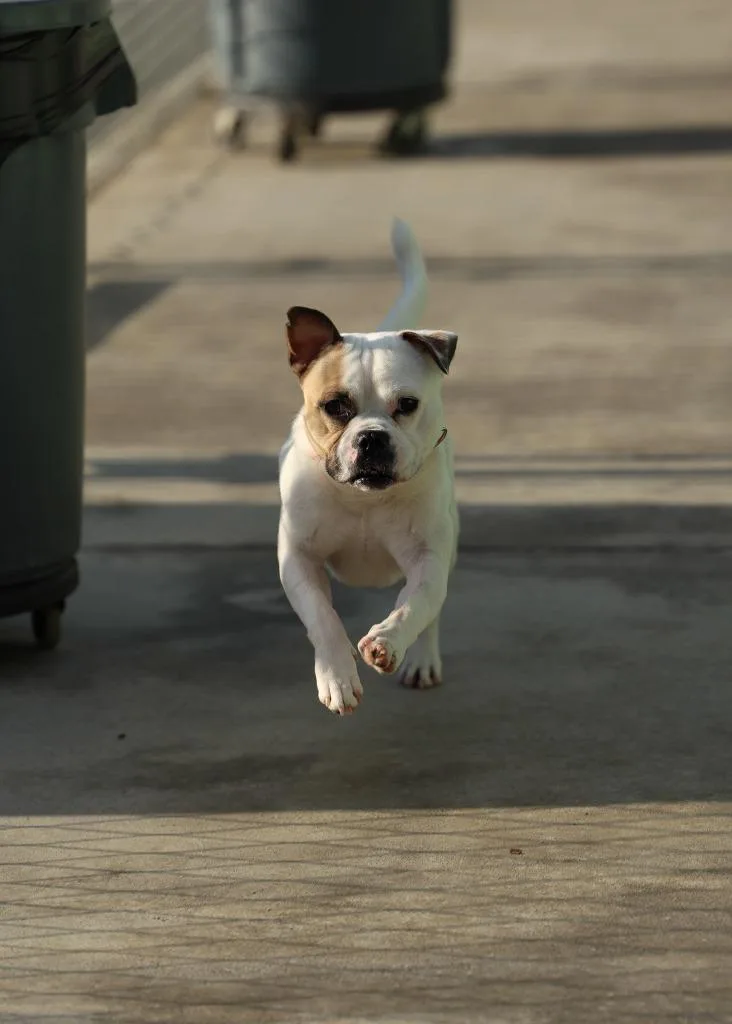 Mr. Moon thumbnail 2