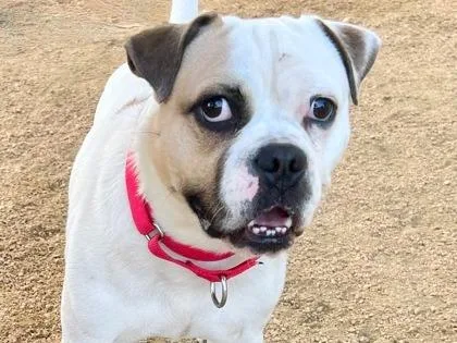 Mr. Moon thumbnail 3