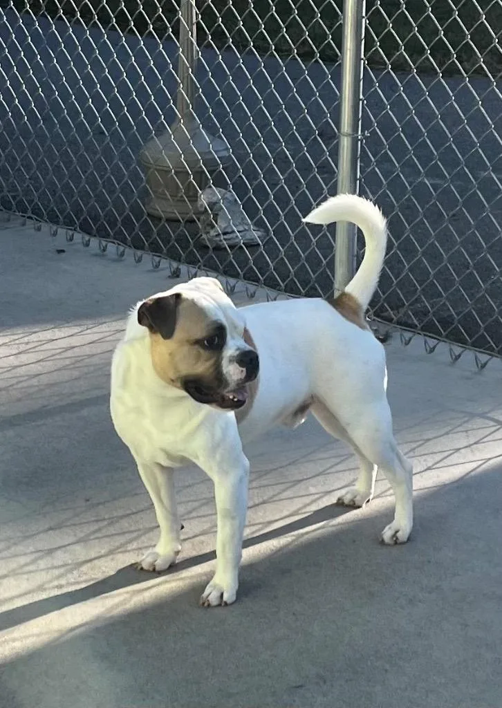 Mr. Moon thumbnail 5