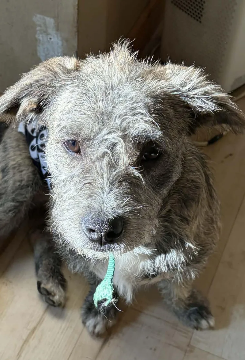 Then Shoes thumbnail 2