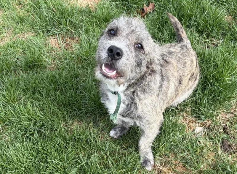 Then Shoes thumbnail 3