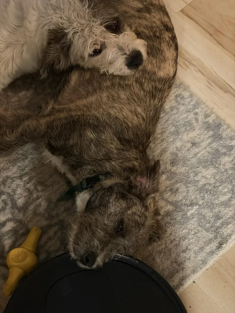 Then Shoes thumbnail 5