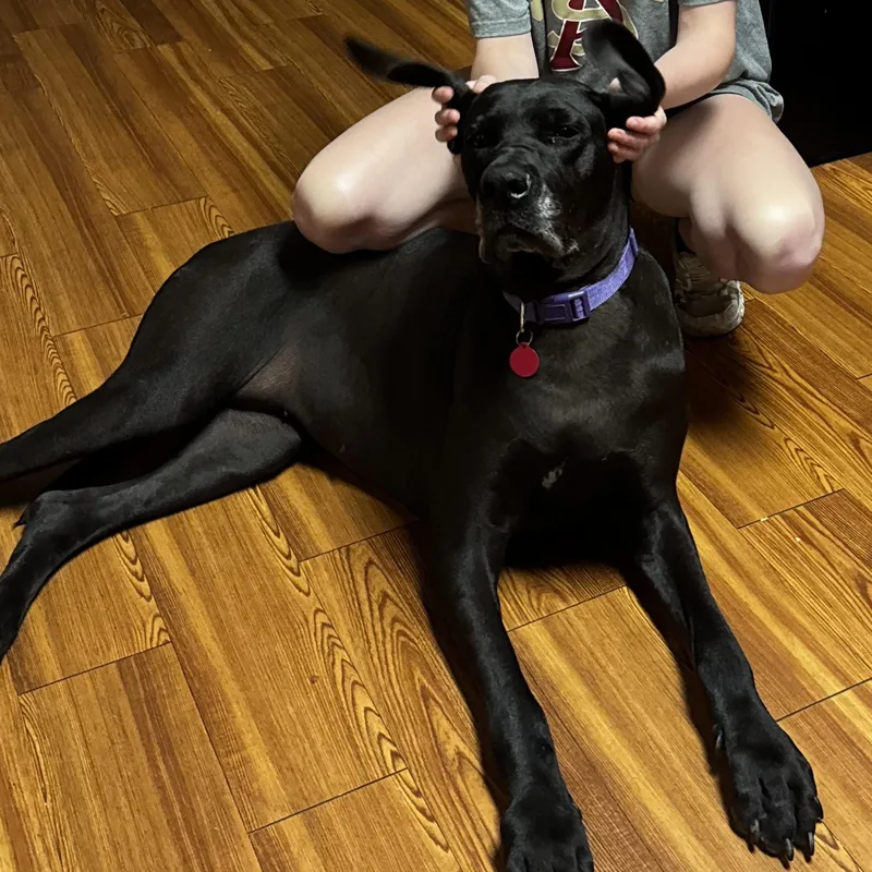 Delilah thumbnail 6