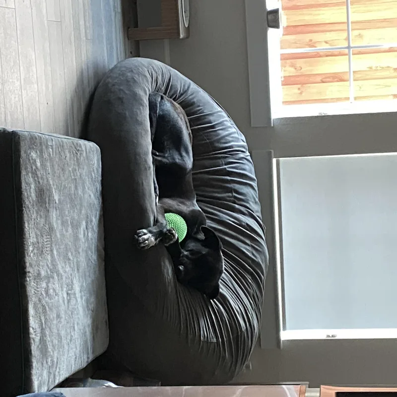Otto GDP