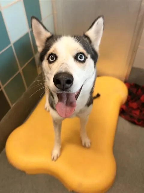 Mia