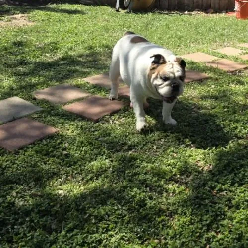 Benjamin thumbnail 2