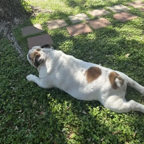 Benjamin thumbnail 4