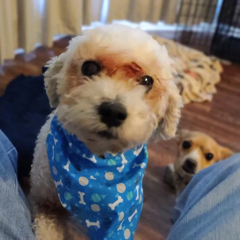 Sandy Rosie thumbnail 6