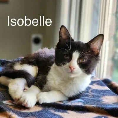 Isobelle thumbnail 4