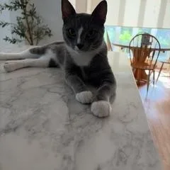 Pickle Mittens thumbnail 2