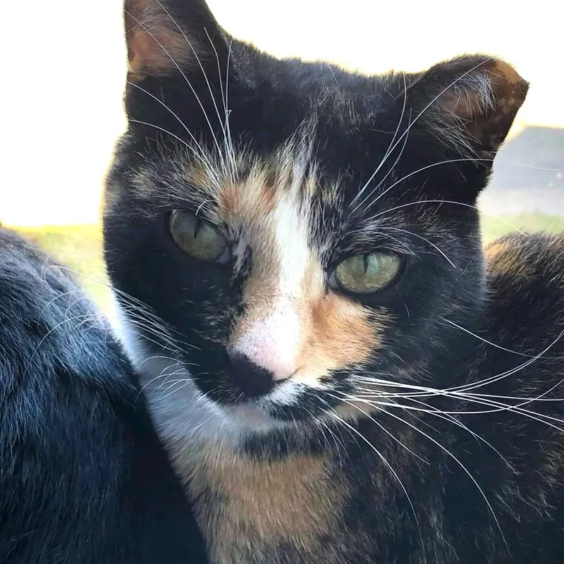 Thavma @ Fat Cat thumbnail 5