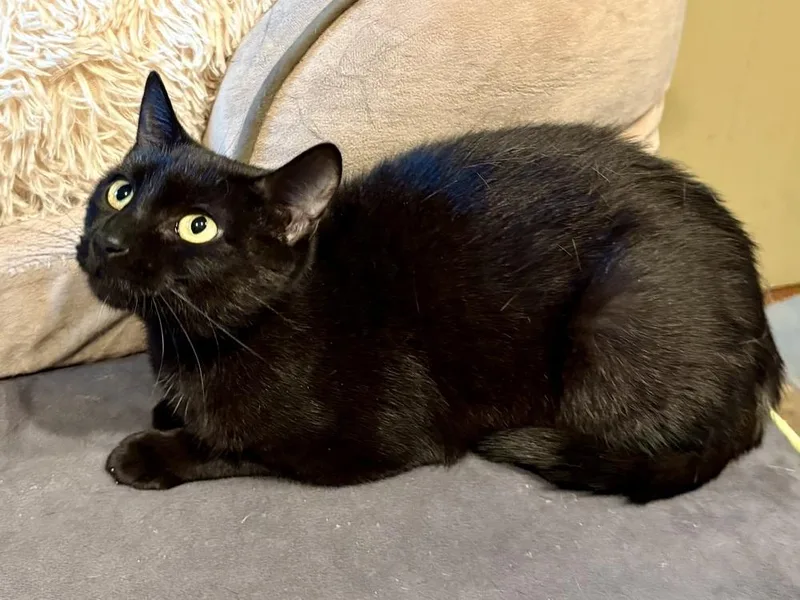 Nancy thumbnail 4