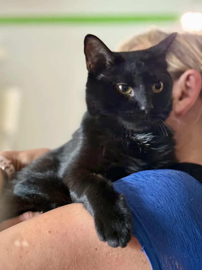 Binx thumbnail 2