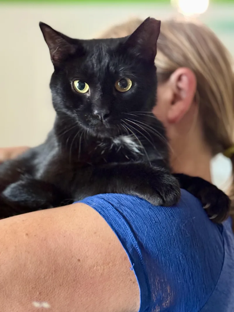 Binx thumbnail 3