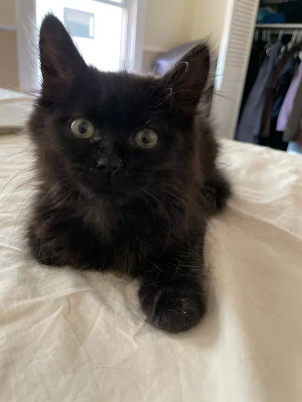 Eleanor