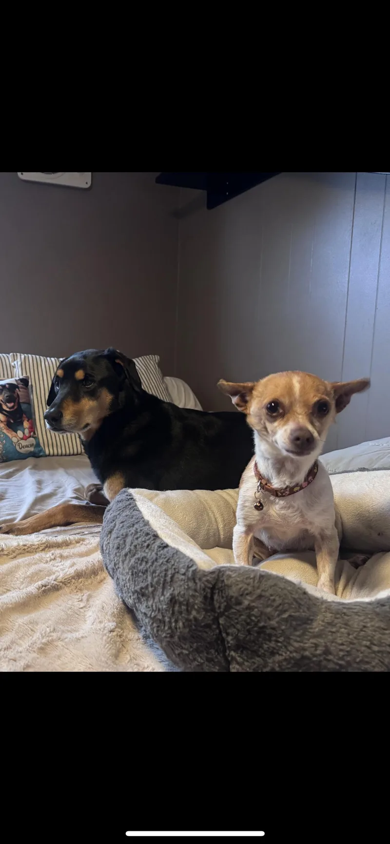 Lulu Aka Lucy thumbnail 2