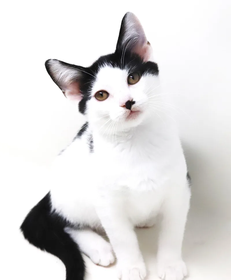 Charlie is a smushy thumbnail 3