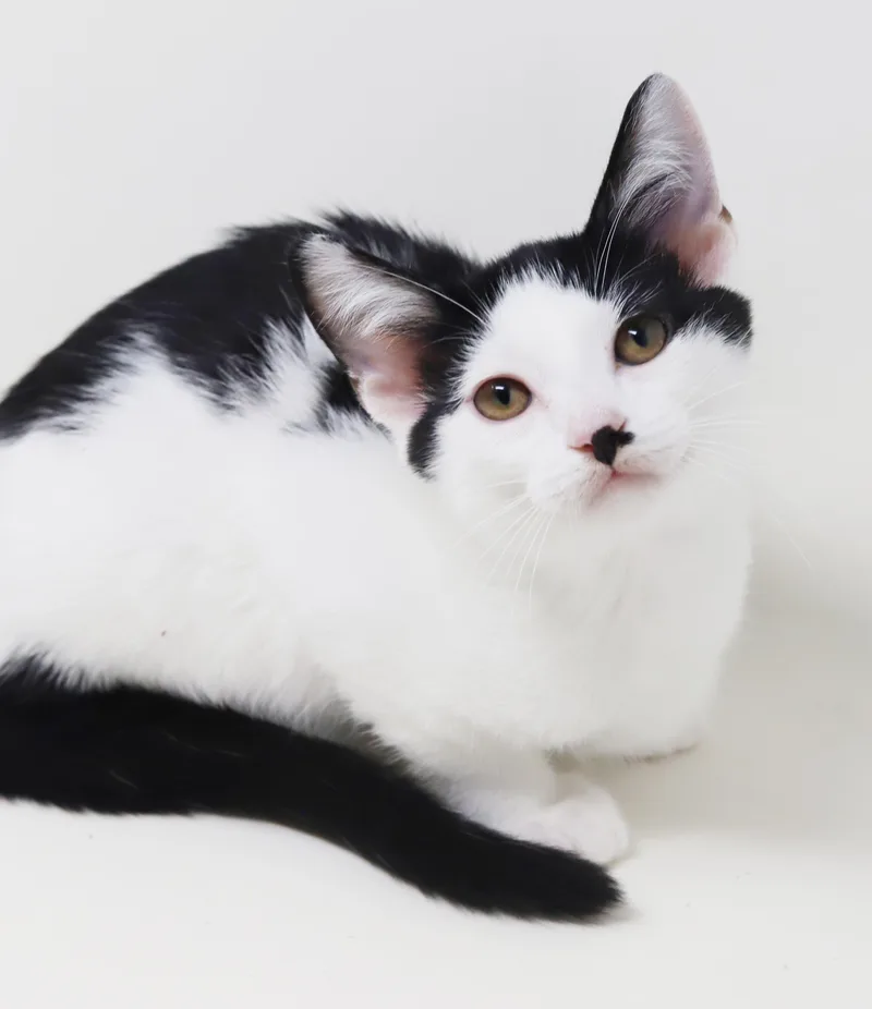 Charlie is a smushy thumbnail 4