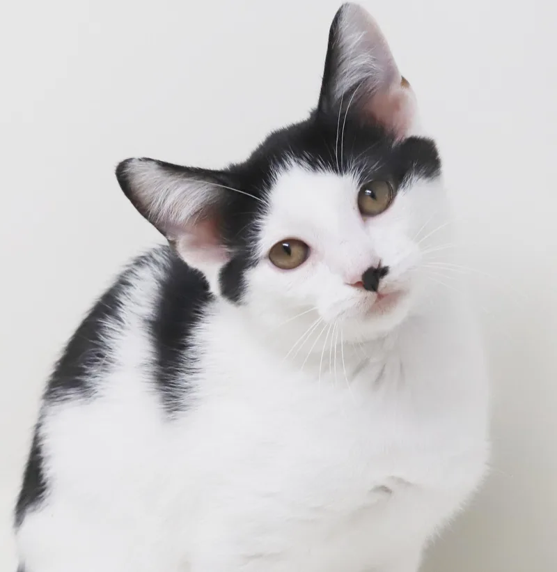 Charlie is a smushy thumbnail 6