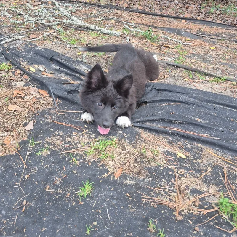 Marceline thumbnail 6