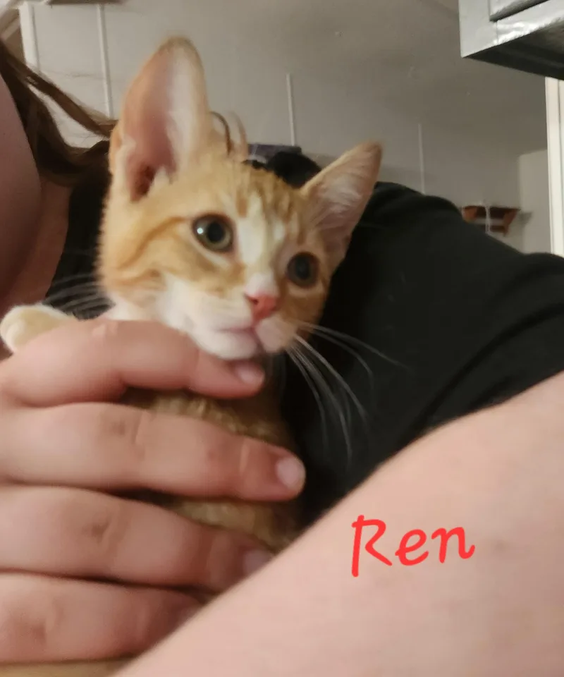 Ren thumbnail 2