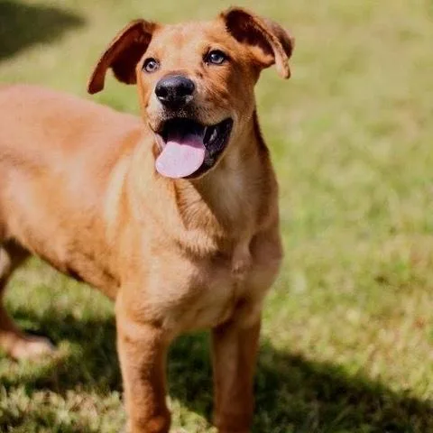 Parker  Graduate thumbnail 2