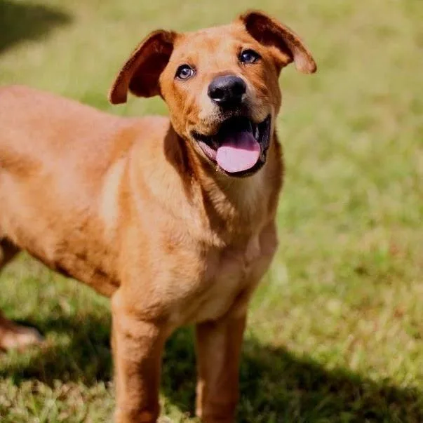 Parker  Graduate thumbnail 3