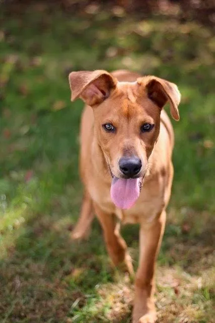 Parker  Graduate thumbnail 5