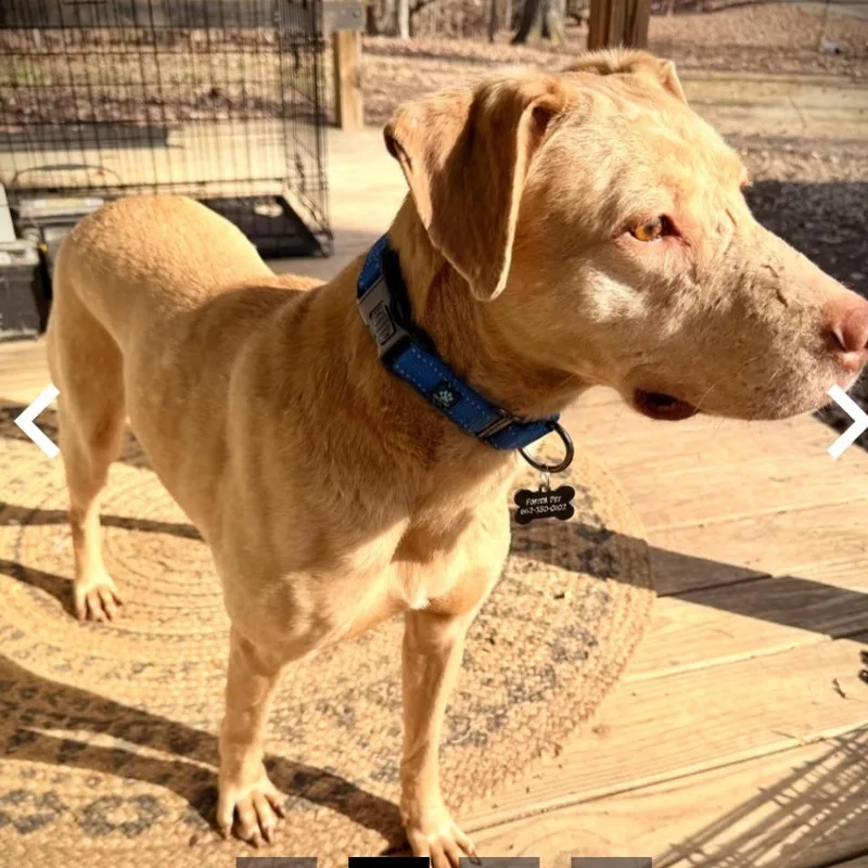 Sweet Sara thumbnail 3